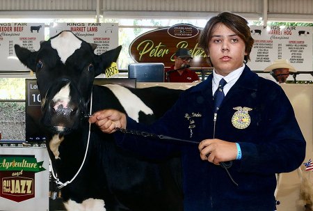 Lemoore's Ryder Mendes leads his Holstein into the Kings Fair auction.